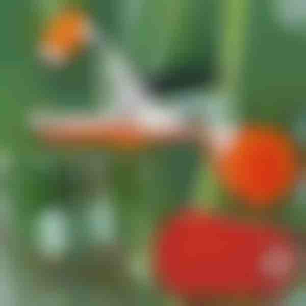 Profesionalni spenjač za privezovanje rastlin PLANTBRAND