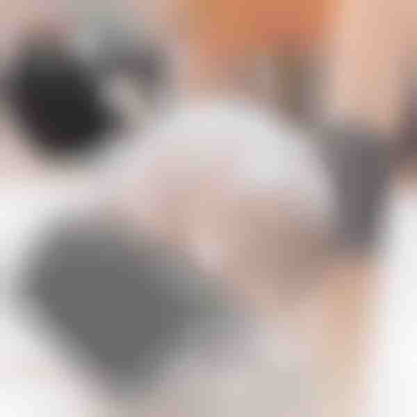 Krtača za mačke (2 kosa) | PURRCORNER