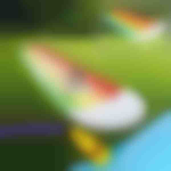 Napihljiv tobogan (465x80 cm) | REEFLY