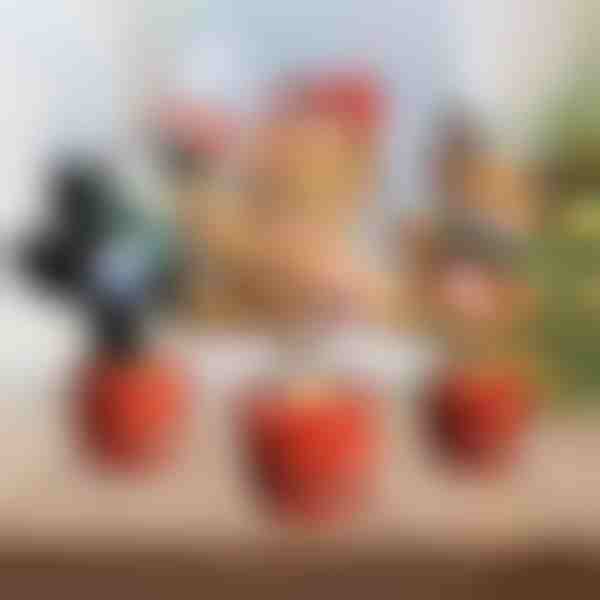 Božična interaktivna plesna igrača | DANCETKO