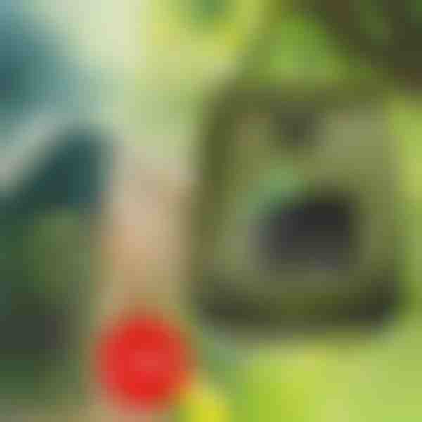 Prenosni tuš | SHOWDY