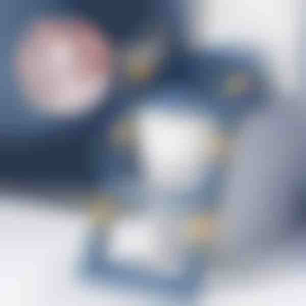 Otroška straniščna školjka s stopnicami | KIDDISTEP