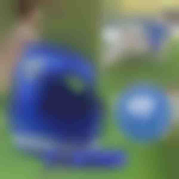 Nastavljiv odsevni pas za hišne ljubljenčke in povodec | LEASHNGO