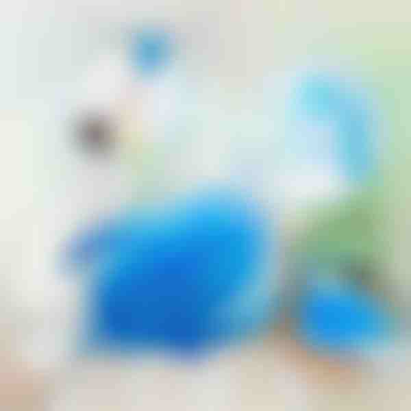 360-stopinjsko vrtljiva električna krtača za prah | DUSTER