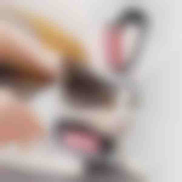 Krtača za Nego Hišnih Ljubljenčkov 2 v 1 | GATOBRUSH