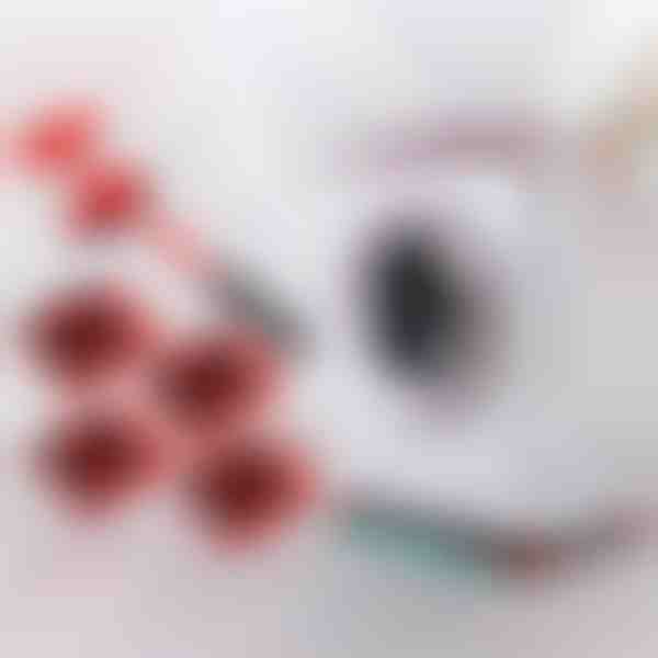 Komplet za premikanje pohištva s 4 drsniki in dvigalom | LIFTROLLERS