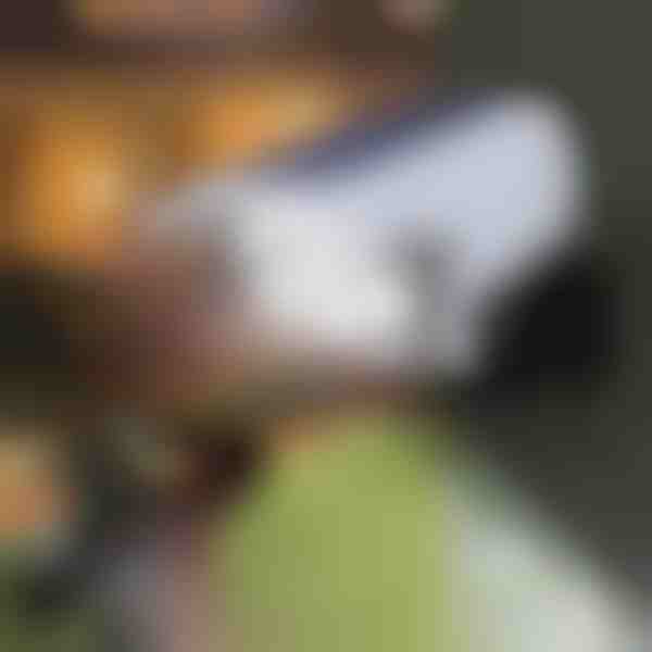 Solarna svetilka s senzorjem gibanja | LUMACAM