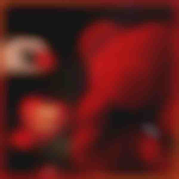 Darilo, ki izraža ljubezen | LOVEBEAR