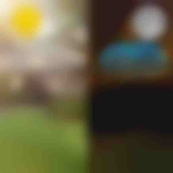 Solarne tropske vrtne luči | LUMIPALM