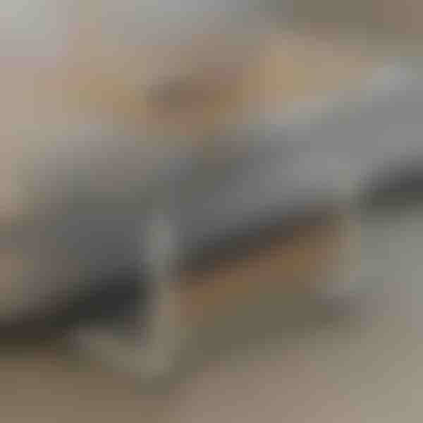 Prenosna miza | EVOSTUL