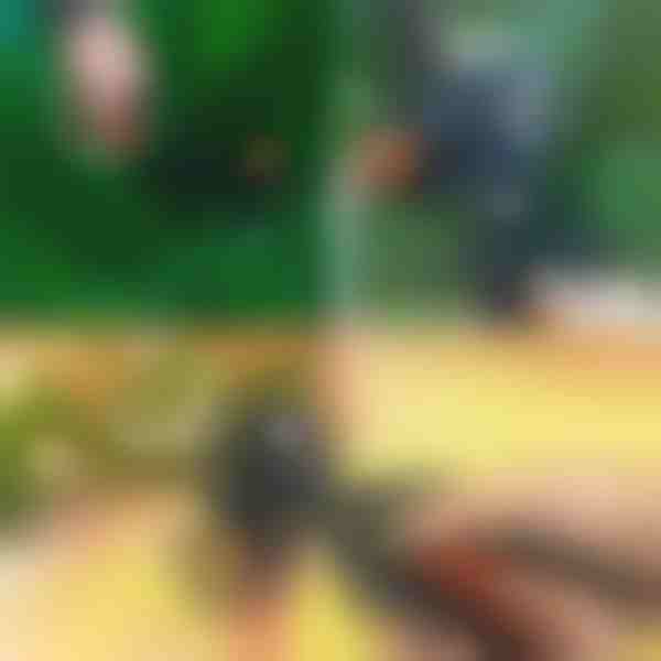 Profesionalne 2-v-1 škarje za obrezovanje in cepljenje | MASTERCUT