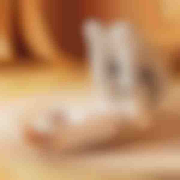 Hiter sušilnik čevljev | DRYVATUS