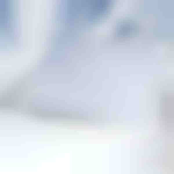 Magnetna prevleka za vetrobransko steklo proti snegu | FROSTCOVER