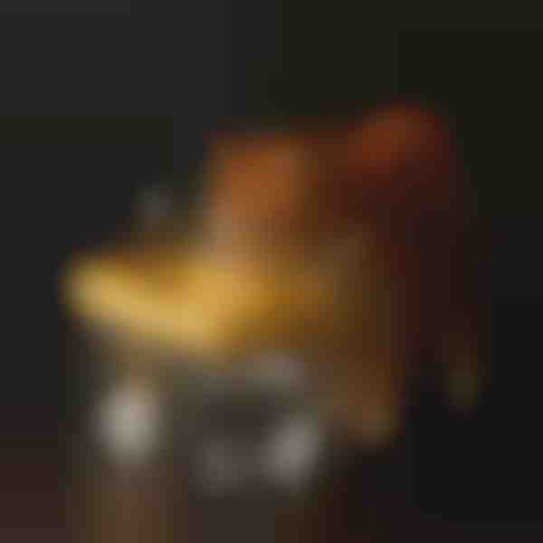 Fontana za hidracijo za hišne ljubljenčke | PETSPRINGLE