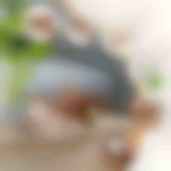 Interaktivna igrača ptica z mahanjem kril | CHIRRCAT